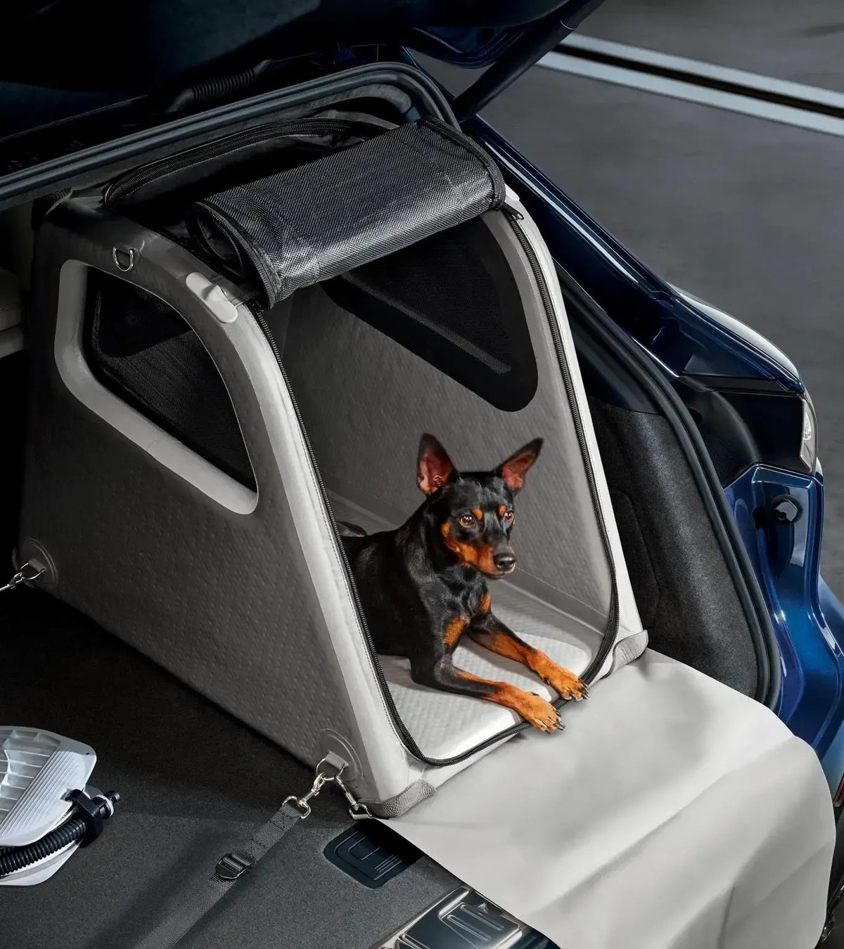Porsche Luggage Compartment Box for dogs | Porsche Design