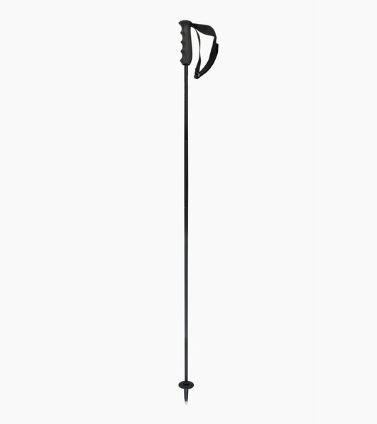 PORSCHE HEAD Carbon Ski Poles | Porsche Design