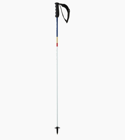 PORSCHE HEAD Dakar Carbon Ski Poles | Porsche Design