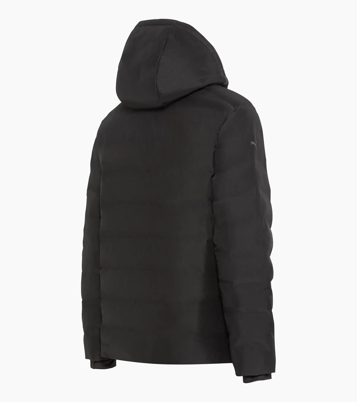 Padded parka | Porsche Design